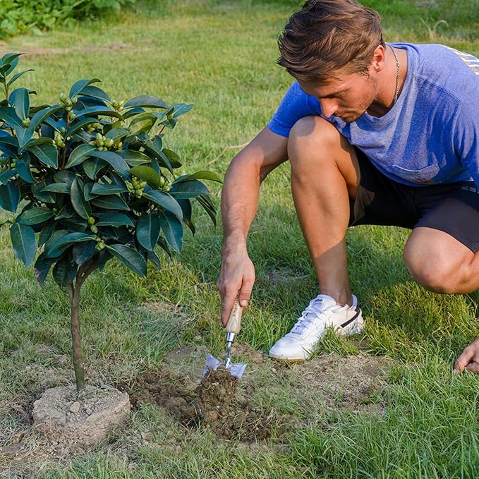 Stainless Steel Trowel, Garden Small Flower Hand Shovel, Potting Soils Scoop with Wood Handle, Gardening Bonsai Tools for Transplanting Digging Weeding Planting