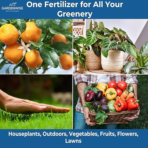 20-20-20 Water-Soluble Fertilizer – Powder for Liquid Plant Food for Indoor & Outdoor Plants, Orchids, Vegetables, Lawns, Flowers – 20 20 20 Fertilizer 3 Quarts (6 lbs)