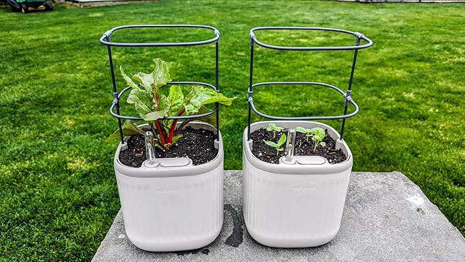 Vego garden Mini Planter Indoor Pots with Trellis Self-Watering Herb Countertop Planter for Climbing Vegetables Flowers Mint Plants Cage 2 Pack- Cream White