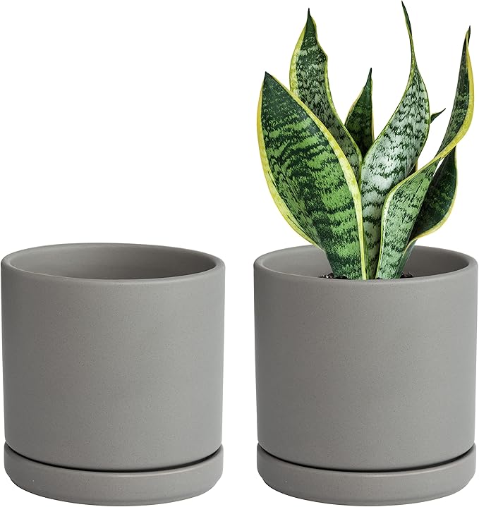 D'vine Dev Set of 2 Plants Pots, 6 Inch Ceramic Planter Pot for Plants with Drainage Hole and Saucer, Speckled Grey, 94-V-C-3