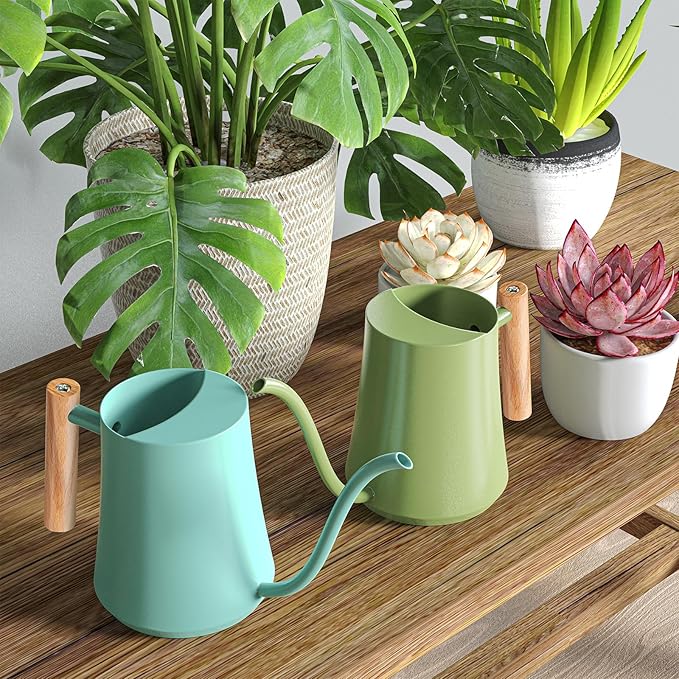 Watering Can Indoor Plants Mint Green 35oz Cute Watering Can Decorative Small Matal Watering Pot for House Bonsai Plants Garden Flower Indoor Outdoor