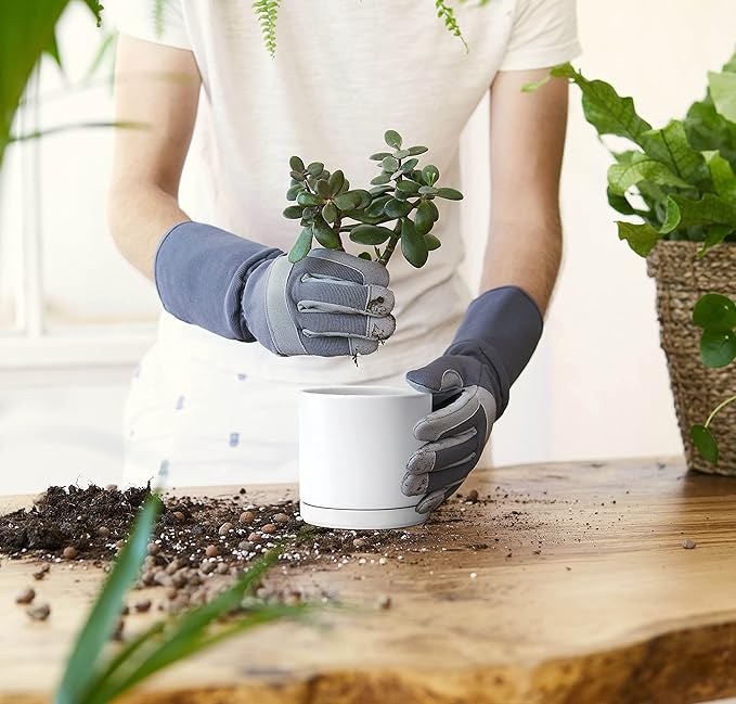 D'vine Dev Set of 2 Plants Pot, 4.6 Inch Ceramic Planter Pot for Plants with Drainage Hole and Saucer, White, 94-V-B-1