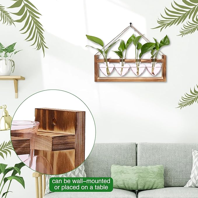 Plant Propagation Stations Heart Plant Terrarium Kit Gift for Women Plant Lover Glass Vases