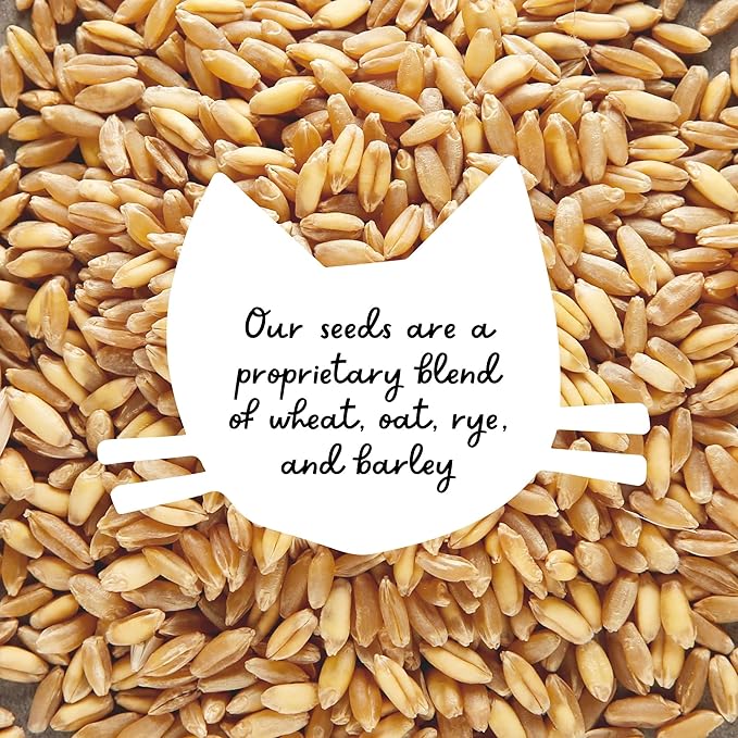 The Cat Ladies Cat Grass Kit with Black Rustic Wooden Planter, Organic Cat Grass Seeds and Soil. Easy to Grow Cat Grass for Indoor Cats. Prevent Hairballs and Aid Digestion