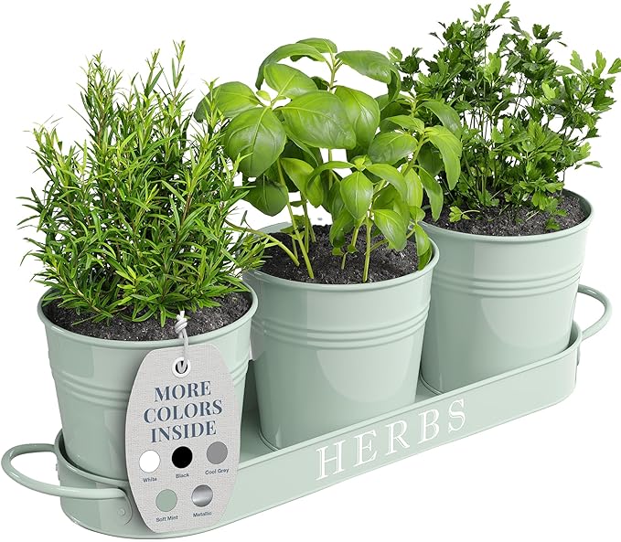 Barnyard Designs Indoor Herb Garden Planter Set with Tray, Metal Windowsill Plant Pots with Drainage for Outdoor or Indoor Plants, Set/3 (Soft Mint)