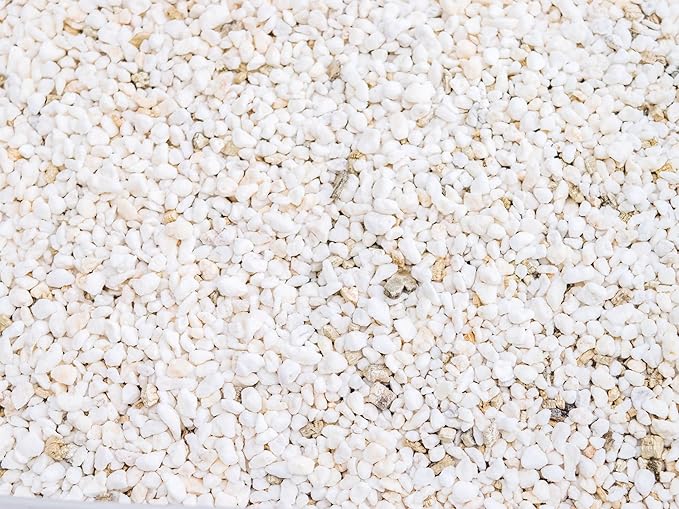 Palmetto Vermiculite Company 4 Cubic Foot Planting Soil Additive (Perlite)