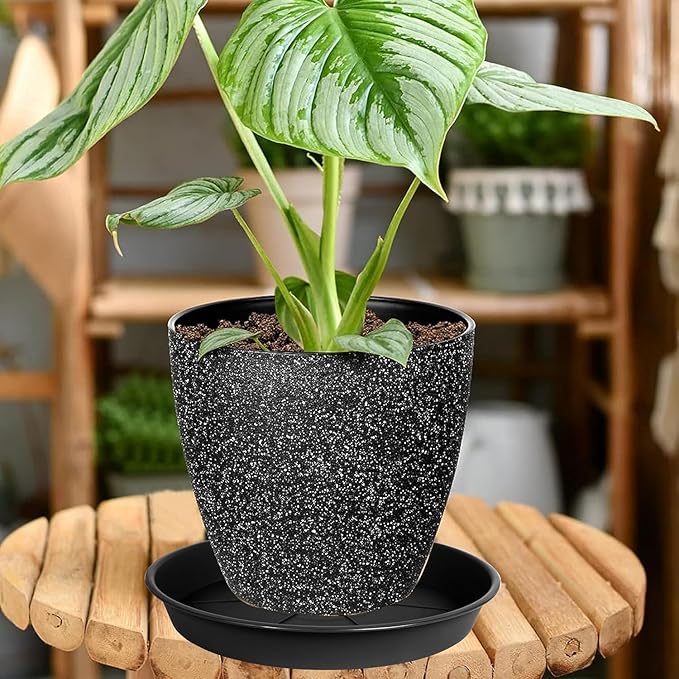 6 Pack of Plant Saucer 6 inch, Black Plastic Flower Plant Pot Saucer, Heavy Duty Plant Drip Trays Saucers for Indoor, Plant Water Tray for Planters