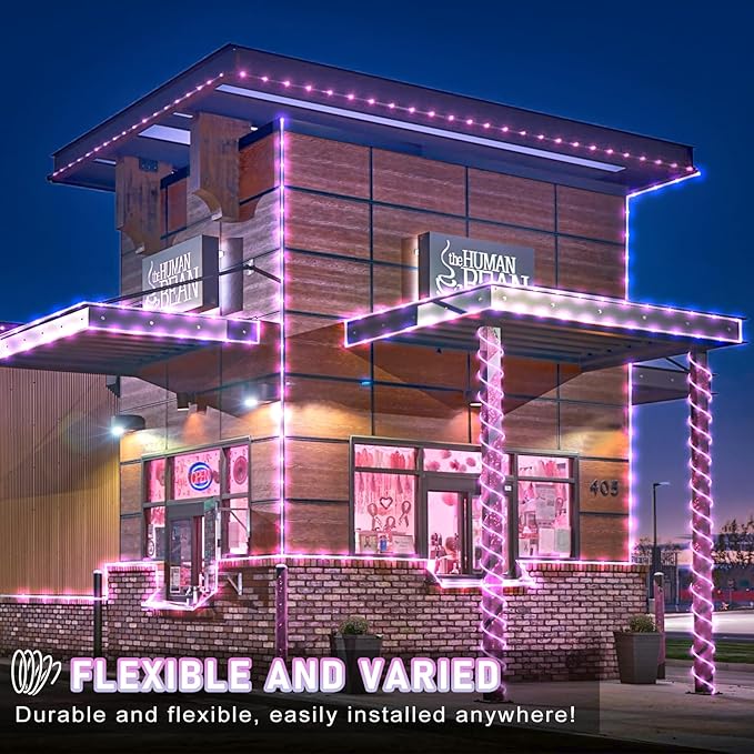 Rope Lights for Outside, 66FT 200 LED String Lights Outdoor with Waterproof 8 Modes, Flexible and Connectable Plug in Fairy Light for Indoor Patio Pool Garden Party Wedding Decorations, Pink