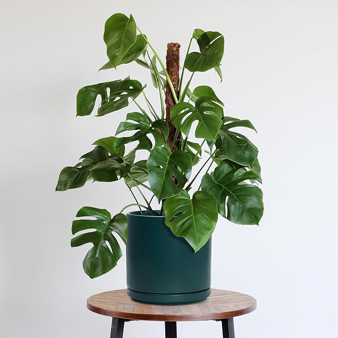 D'vine Dev 8 Inch & 10 Inch Ceramic Planter Pot for Plants with Drainage Hole and Saucer, Large Plant Pots Set, Teal, 94-G-L-9