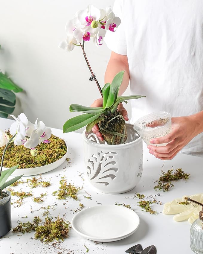 Ceramic Orchid Pot, 6 Inch Orchid Pots with Holes and Saucer for Indoor/Outdoor Plants Drainage & Air Circulation, White Orchid Planter for Repotting or New Plants