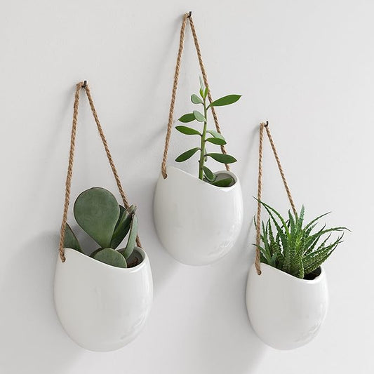 Wall Planters -Ellie- | Hanging Ceramic Plant Pots 3 Pieces | Wall Decoration for Indoors, Balcony and Garden | White (Glossy)
