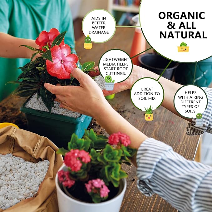 20QT Horticultural Perlite Bulk, Organic Perlite for Plants, Course Perlite for Gardening, for Plants Indoor, for Houseplants, to Promotes Soil Root Growth, and Water Drainage and Plant Growth(3-6mm)