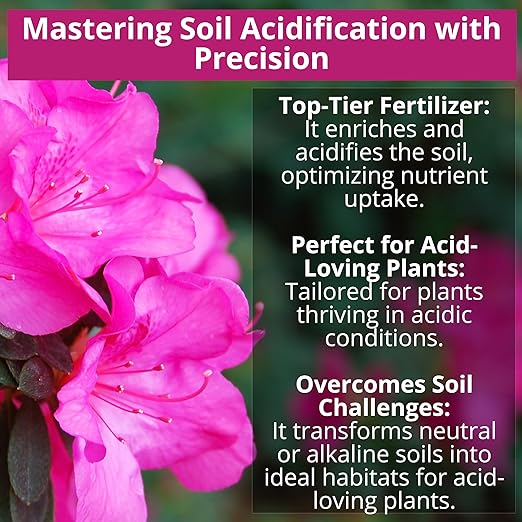 8-4-8 Acidic Fertilizer for Azaleas, Camellias (Camelia), Hydrangeas, Blueberries, Gardenias, Magnolia Trees, Evergreens, and Rhododendrons - Ideal Iron-Rich Plant Food (2 QUARTS)