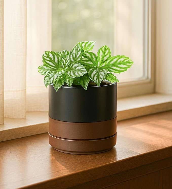 D'vine Dev 3.5 Inch & 4.7 Inch Ceramic Planter Pots for Plants with Drainage Hole and Saucer, X-Small Plant Pots Set, Black/Speckled Tan, 94-G-XS-7