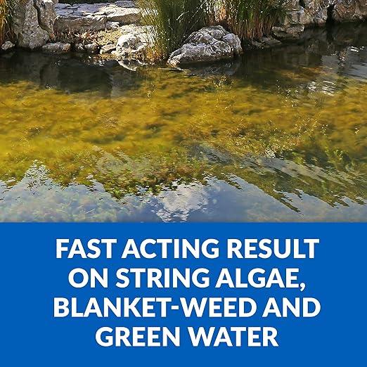 CrystalClear Algae D-Solv Pond Algae Control, Fast-Acting EPA Registered Algaecide, Use in Fountains & Outdoor Ponds Containing Koi & Other Fish, Treats 46,080 Gallons, 1 Gallon