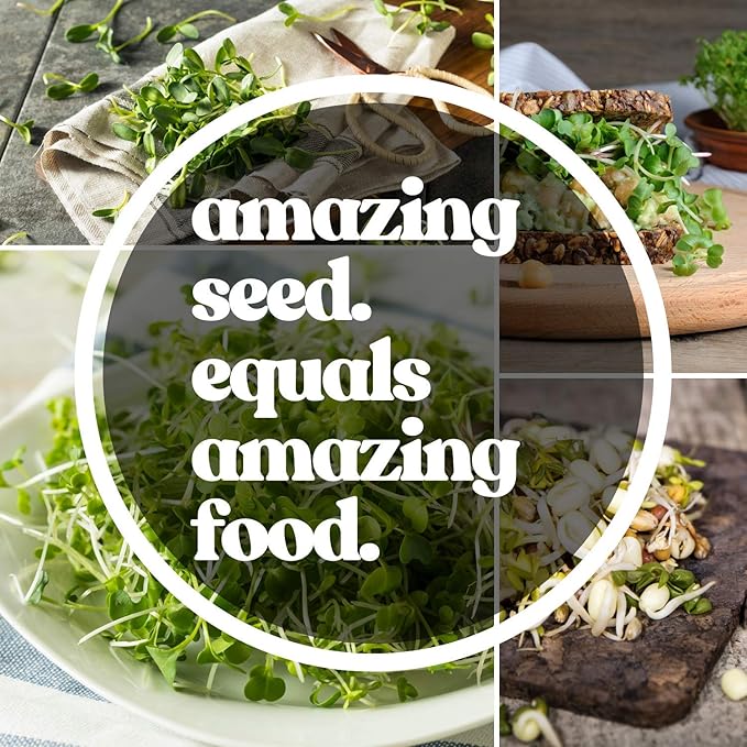 Beet Seeds - Red Round - 1 Oz ~1,500 Seeds - Beta vulgaris - Microgreens Seed - Non-GMO, Heirloom, Open Pollinated, Annual