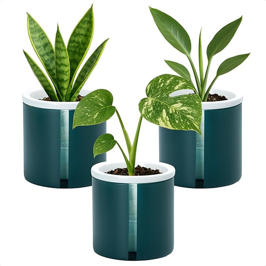 D'vine Dev 4 Inch Design Self Watering Planter for Indoor Plants, White Terracotta Pot with Teal Cylinder Glass Cup, Set of 3,37-Z-A-5-T