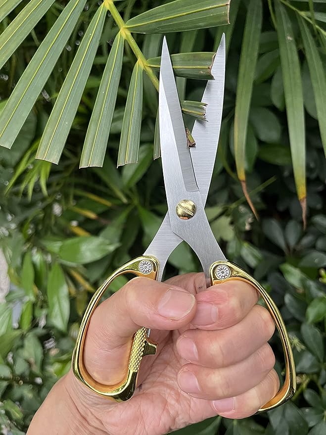Japanese Garden Clippers, Houseplant plant shears, Floral Pruner Botanical Flower Stem scissors, Gardening Shears with Straight Stainless Steel Blades, Easy Use Garden Tools (golden-k26)