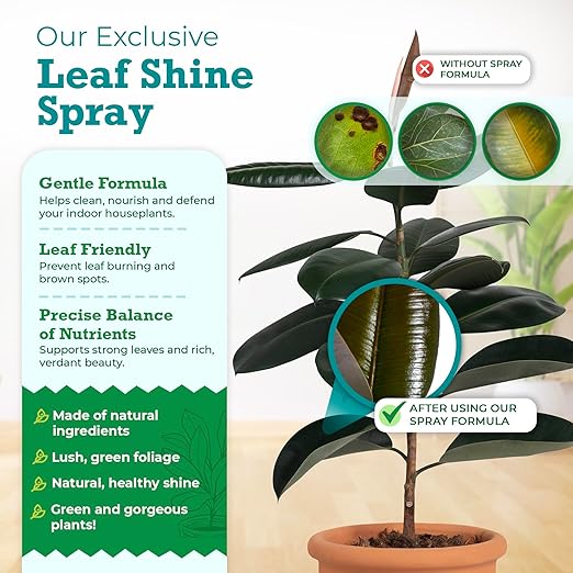 Houseplant Leaf Shine Spray – All-Natural Leaf Cleaner and Gloss for Healthy Shine & Better Photosynthesis | Perfect for House Plants and Foliage | 8 oz