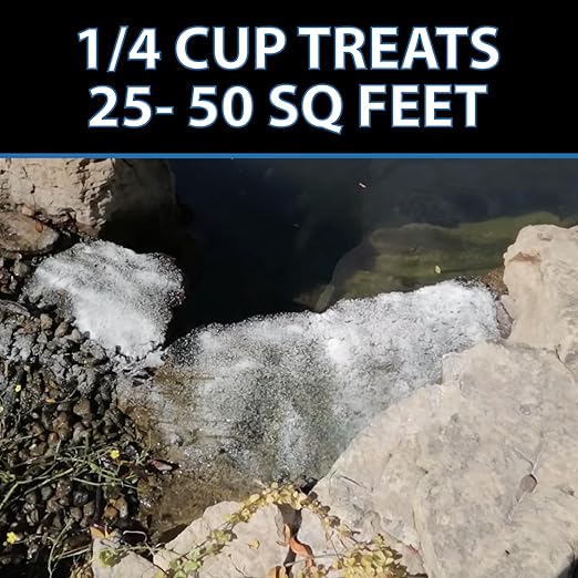 CrystalClear AlgaeOff Pond & Water Garden Scum Cleaner, Waterfall & Rock Slime Remover, String Algae Killer, Green Stain Treatment, EPA Registered Algaecide, Plant, Koi Fish, Bird & Pet Safe, 8 lbs