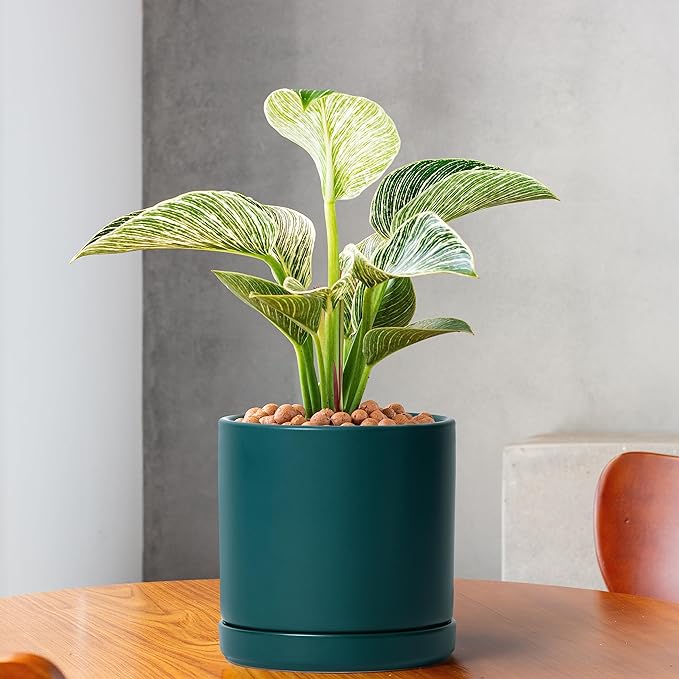 D'vine Dev Set of 2 Plants Pots, 6 Inch Ceramic Planter Pot for Plants with Drainage Hole and Saucer, Teal, 94-V-C-9