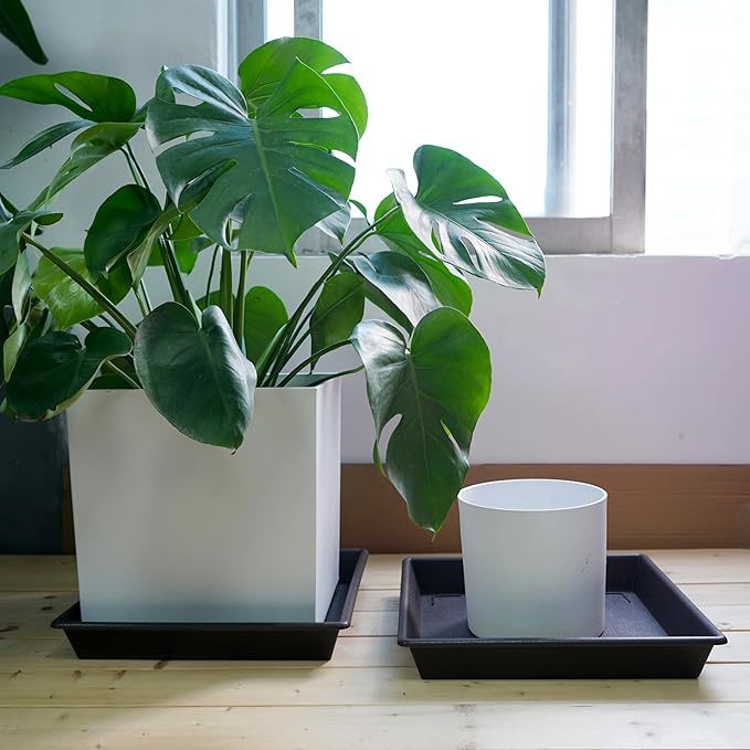 Square Plant Saucer 14 Inch 2 Pack，Plant Stand Plant Trays for Pots Heavy Duty Plastic Plant Saucers for Indoors Outdoors, Flower Pot No Holes Plant Lover Gardening Gifts