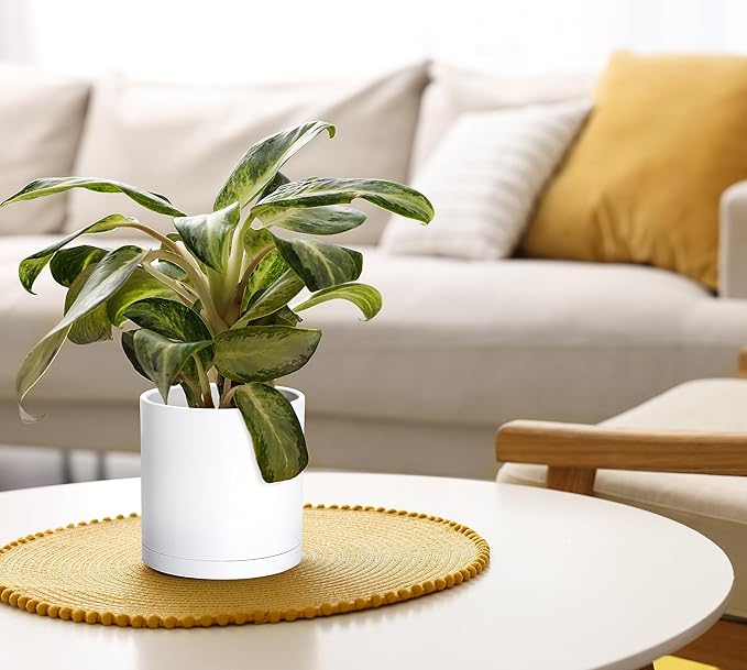 D'vine Dev 2 Pack 6 Inch Modern Plastic Plant Pots, Small Garden Planters for Plant with Drainage Holes and Saucers, White Color, 74-Z-J-1