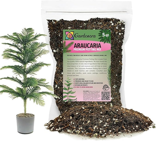 Premium Araucaria Potting Soil Mix - Perfect Balance of Nutrients, Drainage, and Aeration for Healthy Araucaria Trees - 5 Quart