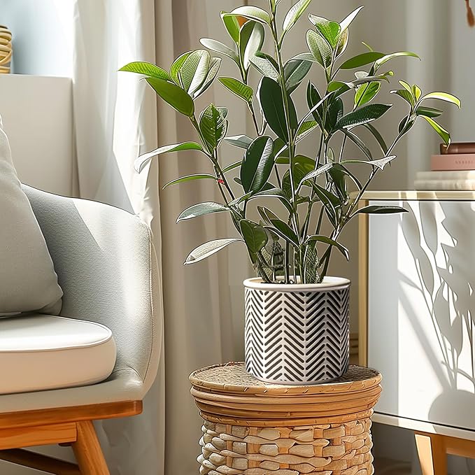 T4U Ceramic Planters for Indoor Plants, 4.2+5.4+6 Inch Plant Pots Set, Flower Pots with Drainage Holes and Plug, Ceramic Plant Pot for Indoor and Outdoor Plants, Morden Home Decor, Gifts for Mom