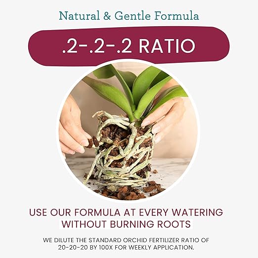 Orchid Fertilizer Spray – Nourishing Liquid Plant Food Mist for Healthy Orchids – Easy-to-Use Nutrient Boost for Vibrant Blooms & Healthy Roots – Made in USA – 8 oz