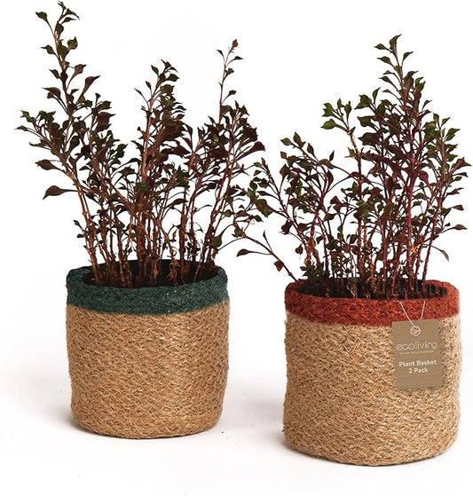 Jute Planter Basket-Woven Jute Rope Covers for Decorating Indoor/Outdoor Succulents, Small Plant Pots-Set of 2-Multi-Purpose Storage Bins 4.5 in - Modern Style Décor - Red, Green & Natural