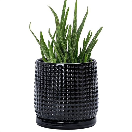 D'vine Dev 6 Inch Ceramic Beaded Stoneware Planter Pot - Flower Pot with Drainage Holes and Saucers for Indoor Succulent Plants or Flowers, Glossy Black, 27-C-X-2