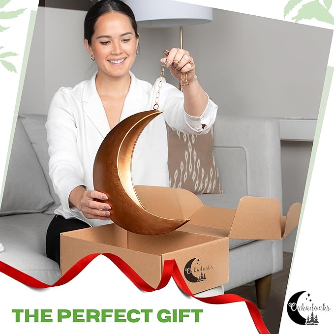 Gold Hanging Moon Planter – with Drain Holes - Moon Room Decor - Unique Planters for Succulents,Air Plant, Cactus, Artificial Plants- Plant Lover Gifts - Boho,Hippie, Birthdays,Witchy Gifts for Women