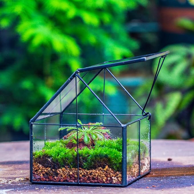 NCYP Mini Glass Geometric Terrarium with Lid - 4.25" x 4.25" x 4.92" Small House Shape Close Planter Pot for Succulents Plant - Handmade, Home Garden Office Tabletop Decor, Black (Terrarium Only)