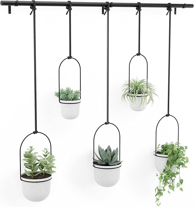 Umbra Triflora Hanging Planter for Window, Indoor Herb Garden, Set of 5, White/Black