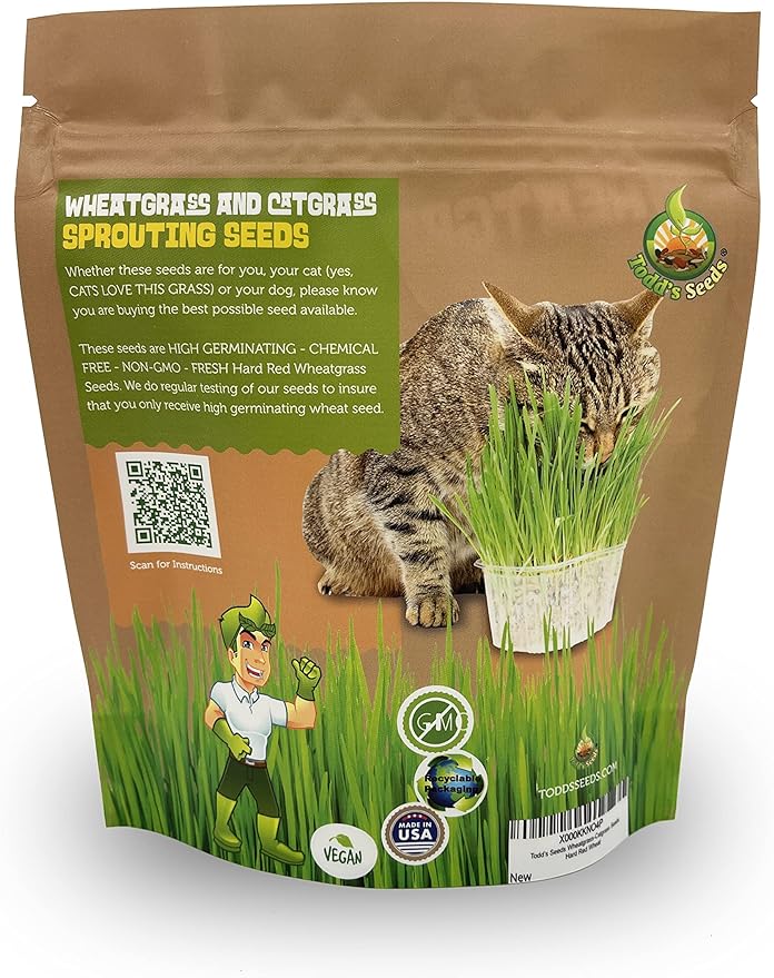 Todd’s Seeds – Cat Grass for Indoor Cats, 1lb Wheatgrass – Premium, Non-GMO, Pet-Safe & Easy to Grow – No Fillers, 100% Chemical-Free
