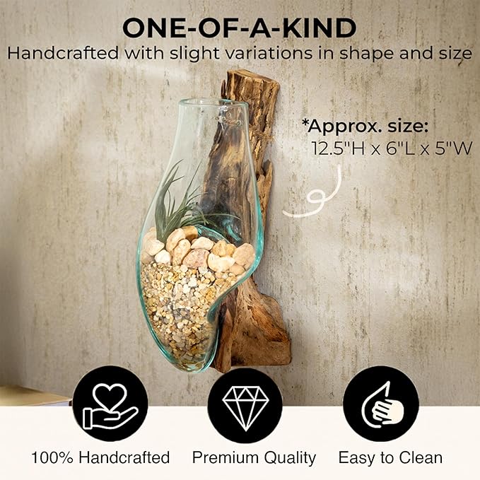 Cape Craftsmen Wall Mounted Molten Glass Hanging Terrarium on Driftwood, Indoor Wall Planter Vase on Wood, Propagation Station for Hydroponics Plants, Succulent Pot