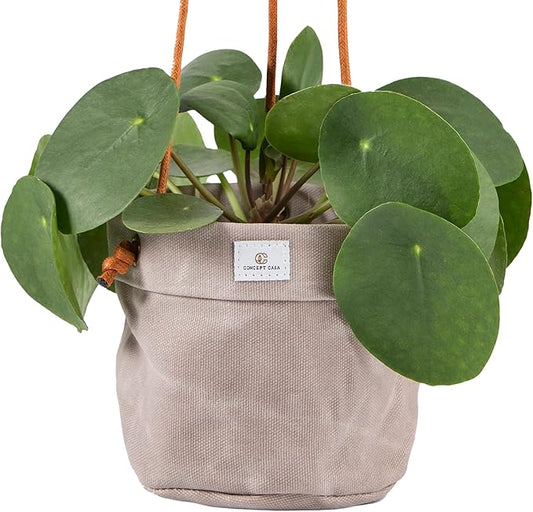 Large Waxed Canvas Handmade Hanging Planter for Indoor/Outdoor Plants, Hanging Basket Plant Holder Stone Gray