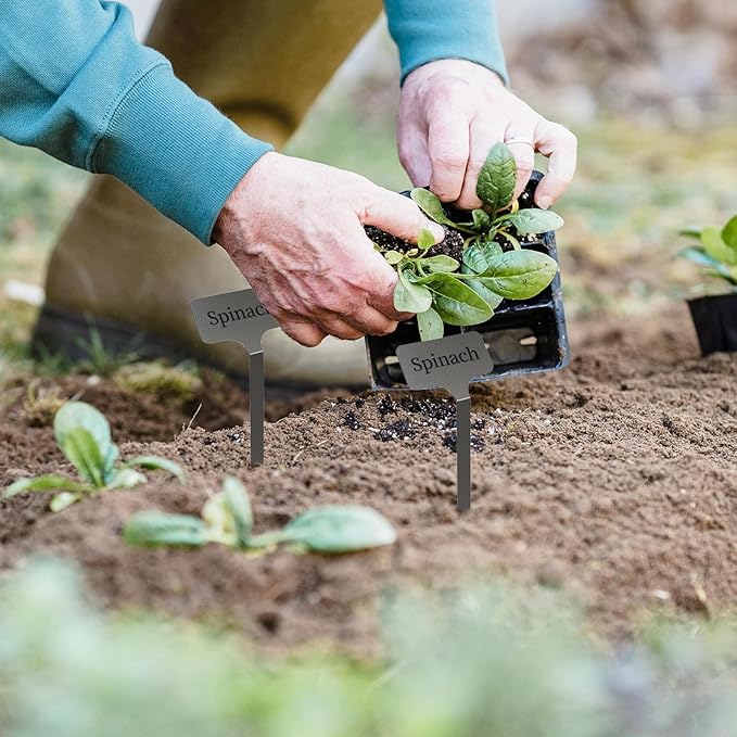 Stainless Steel Plant Labels, Metal Waterproof Plant Markers,Height 12.75 in, Label Area 2.5 in*1.25 in resuable Nursery Tags for Vegetables herb Flower Seed Green House- 20-Pack
