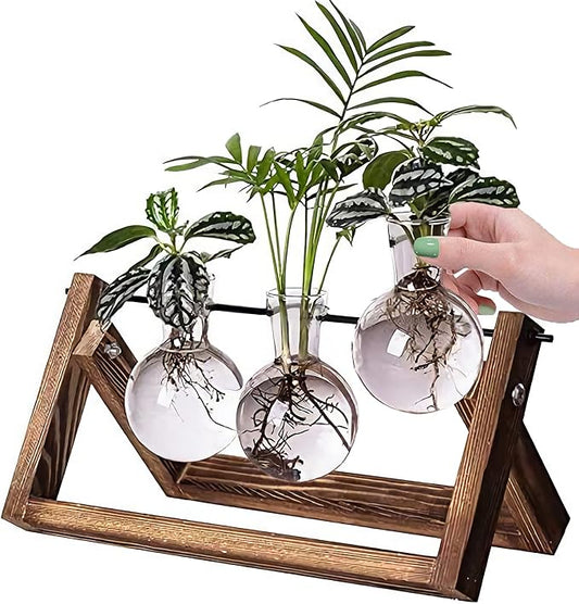 Kingbuy Desktop Glass Planter Iron and Wooden Stand Plant Terrariums for Indoor Office Desk Decor Accessories, 3 Bulb Vases, Brown