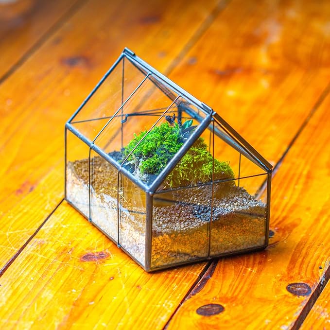 NCYP Mini Glass Terrarium with Lid - 6.1" x 4.25" x 4.92" House Shape Closed Planter Pot for Small Cactus, Succulents Plant - Home Garden Office Tabletop Geometric Decor, Black (Terrarium Only)