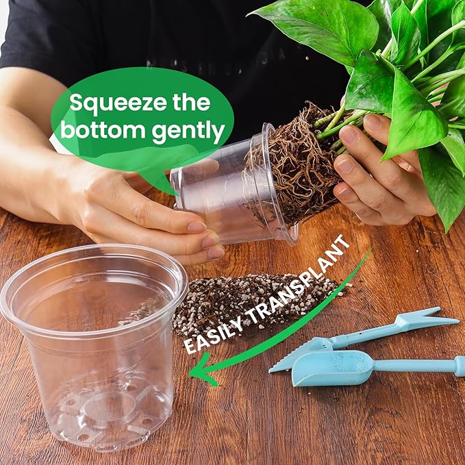 36 Packs 6.7/5/4/3.5 Inch Reinforced Clear Nursery Pots with Drainage Hole, Transparent Variety Pack Plastic Plant Pot Seedling Planter Seed Starter Flower