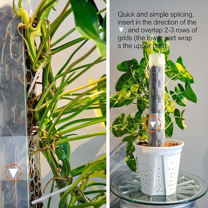 Plastic Moss Pole 4 Pcs Plant Stakes Extending to 62 Inch for Training Indoor Climbing Plants Such as Monstera to Grow Upwards-Use Plant Support Poles Work with Sphagnum Moss or Other soils