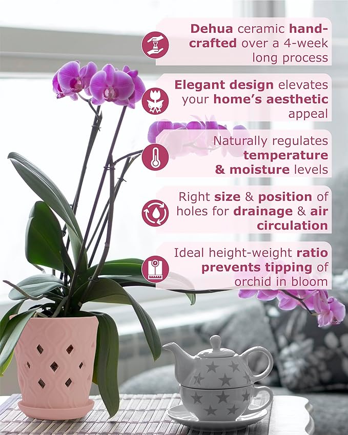 Whispering Winds Ceramic 5 x 6 Inch Orchid Pot with Holes & Saucer for Aeration and Drainage - Decorative Orchid Pots for Repotting, Prevent Over Watering & Root Rot (Cavern Pink)