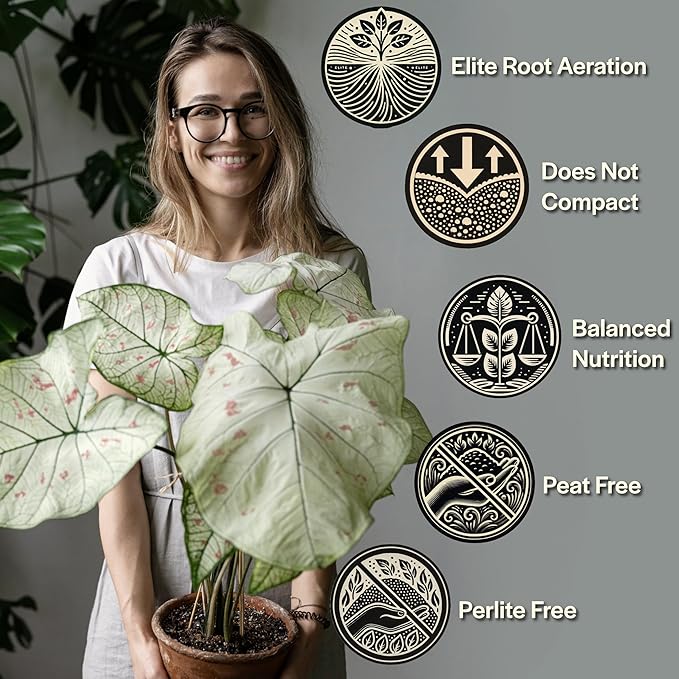 Craft Aroid Potting Mix- Elite Alocasia, Philodendron, Monstera Soil Mix, Chunky, Well Draining Potting Soil for Indoor Plants, All Tropical Plants & Houseplants, Synthetic & Peat Free 1QT