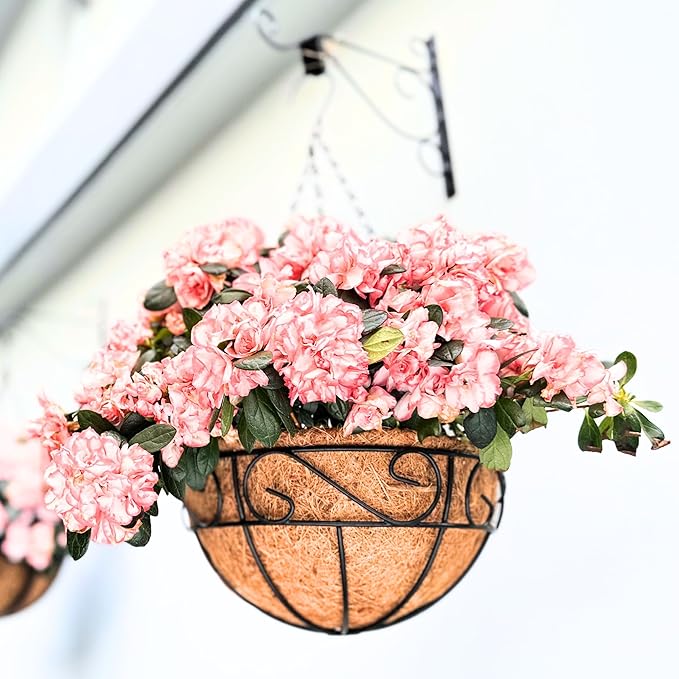 LaLaGreen Hanging Planter for Outdoor Plants (6 Pack, 16 Inch) Hanging Baskets with Coco Liner, Metal Wire Flower Basket Pots with Hook Hanger Balcony Porch Farmhouse Country Style Garden Decor