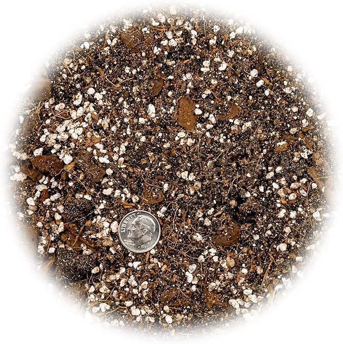 Fiddle Leaf Fig House Plant Soil Premium All Purpose Blend - Peat Moss, New Zealand Bark, Coco Chips and Fibers, Perlite - 1 Quart Bag