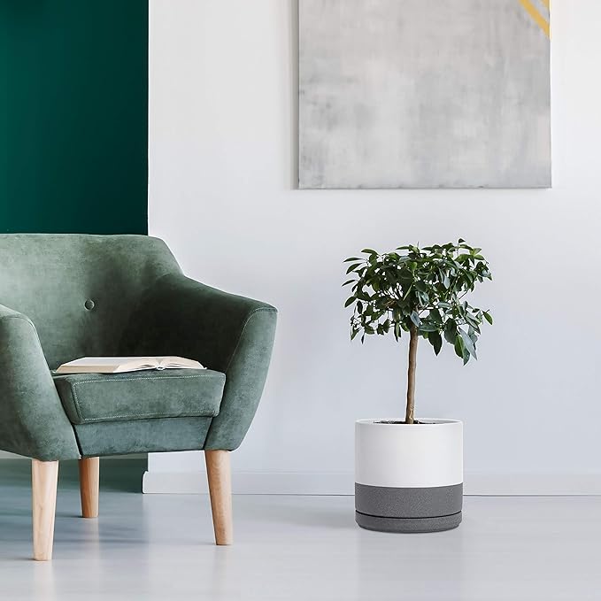 D'vine Dev Set of 2 Plants Pots, 10 Inch Ceramic Planter Pot for Plants with Drainage Hole and Saucer, White/Speckled Grey, 94-V-E-6