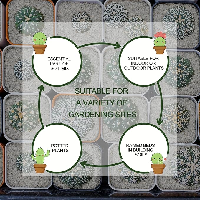 30QT Horticultural Perlite Bulk, Organic Perlite for Plants, Course Perlite for Gardening, for Plants Indoor, for Houseplants, to Promotes Soil Root Growth, and Water Drainage and Plant Growth(3-6mm)