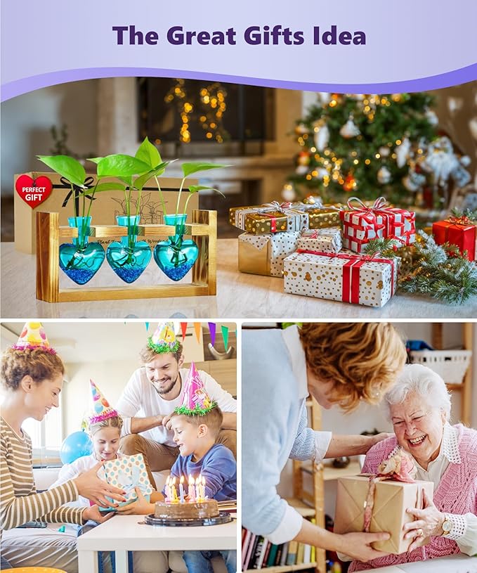 Nacome Plant Terrarium for Office Decor: Wooden Stand Tabletop Planter 3 Bulb Glass Vase Heart Shaped for Hydroponics Indoor Home - Birthday Gifts for Women Mom Grandma